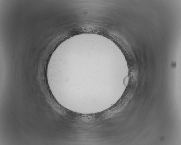 X0000116560865201001211221