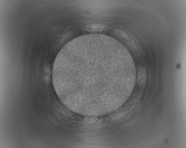 X0000116560866201001211221