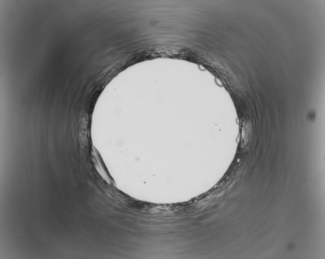 X0000116560867201001211221