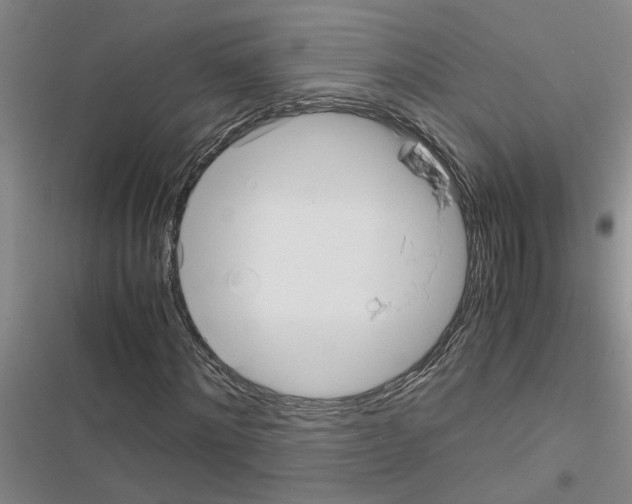 X0000116560868201001211220