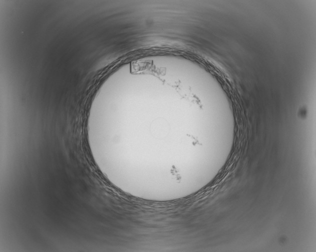 X0000116560869201001211220