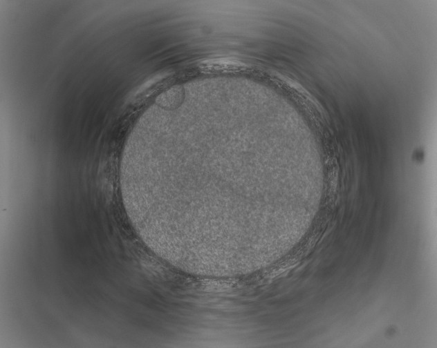 X0000116560870201001211220