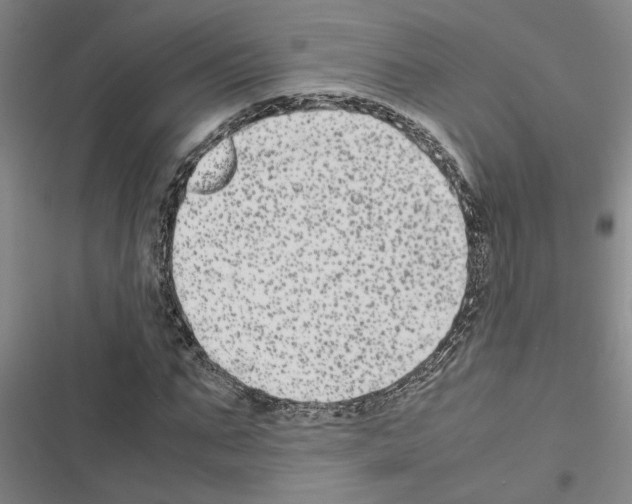 X0000116560871201001211220