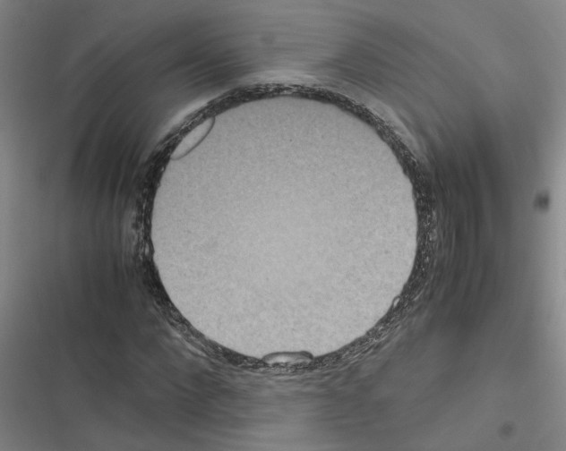 X0000116560872201001211220