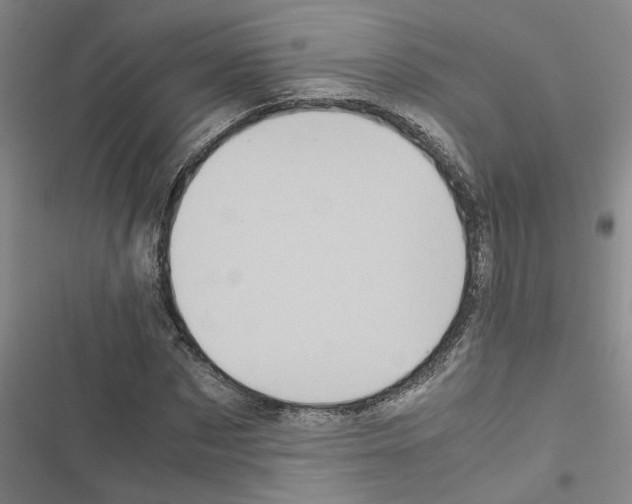 X0000116560873201001211220