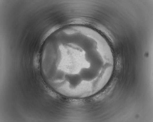 X0000116560874201001211220