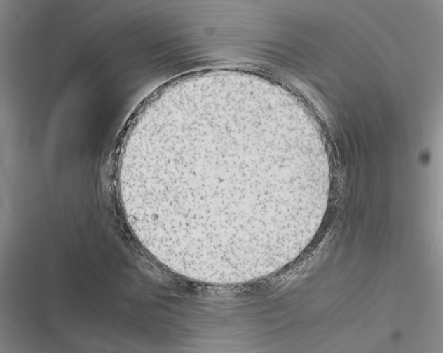 X0000116560875201001211220