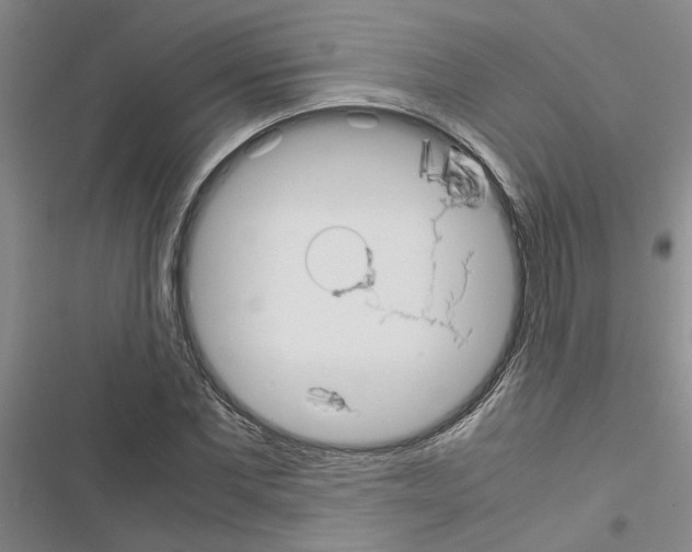X0000116560877201001211220