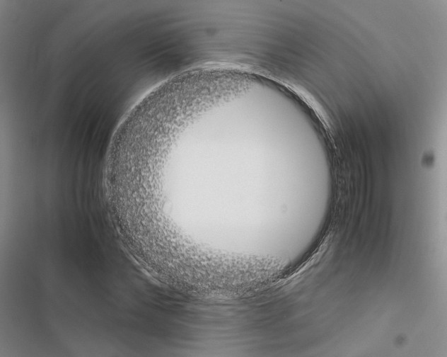 X0000116560878201001211220