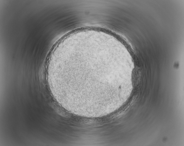 X0000116560879201001211220