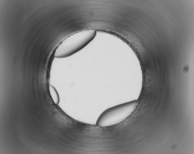 X0000116560880201001211220