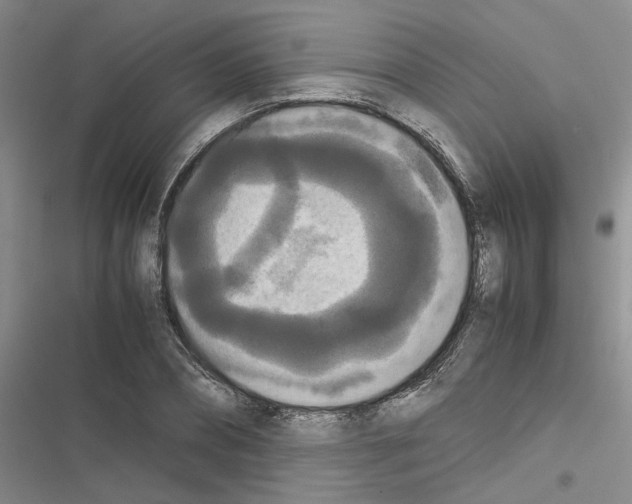 X0000116560882201001211220
