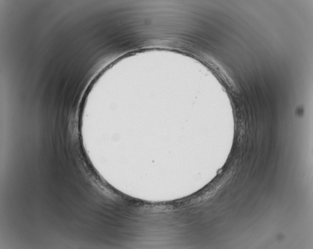 X0000116560884201001211220