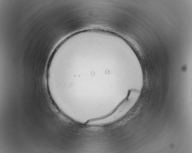 X0000116560888201001211220