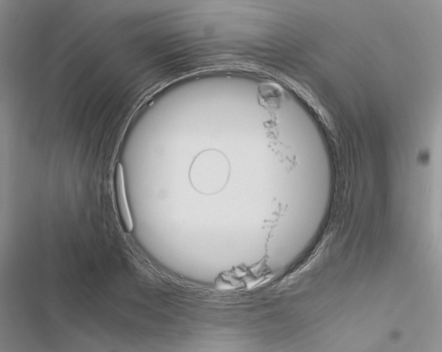 X0000116560889201001211220