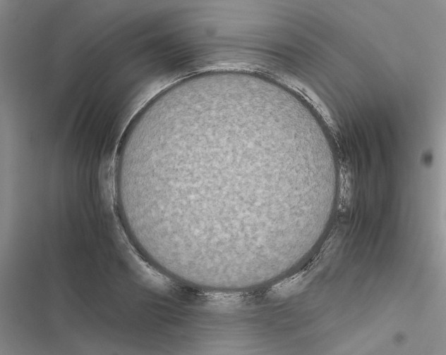 X0000116560890201001211220