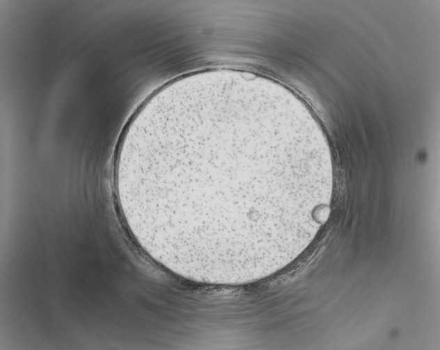 X0000116560891201001211220