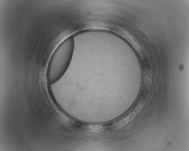 X0000116560893201001211220