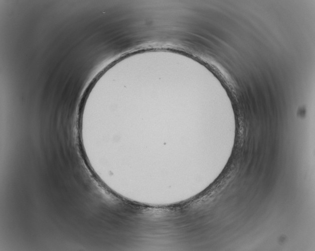 X0000116560894201001211220