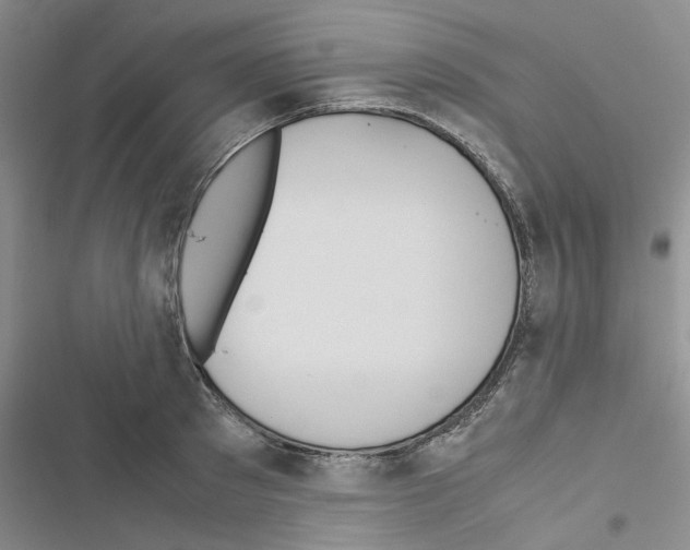X0000116560897201001211220