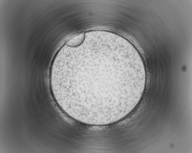 X0000116560898201001211220