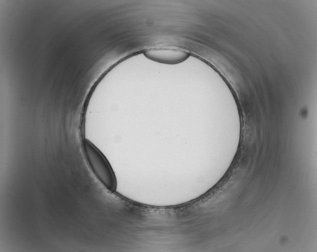 X0000116560901201001211220
