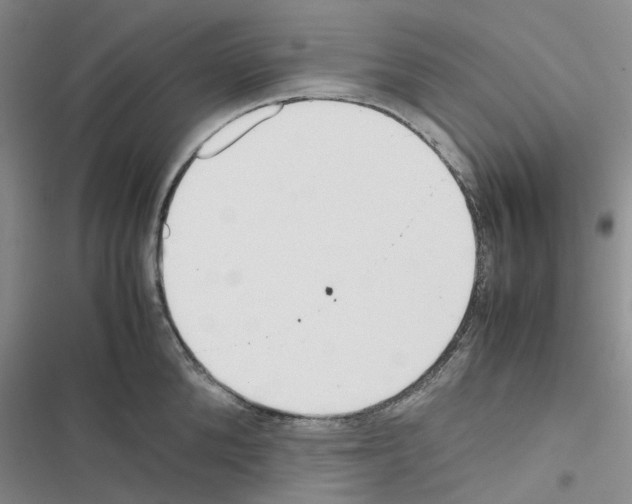 X0000116560904201001211220