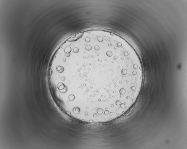 X0000116560906201001211220