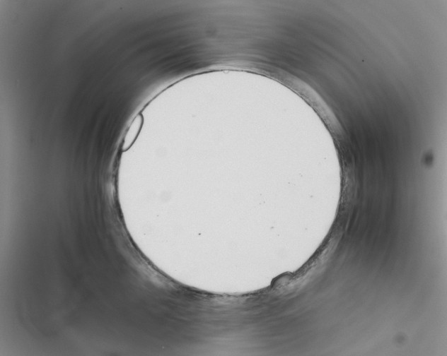 X0000116560908201001211220