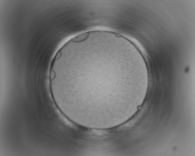 X0000116560910201001211220