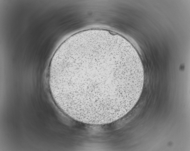 X0000116560911201001211220