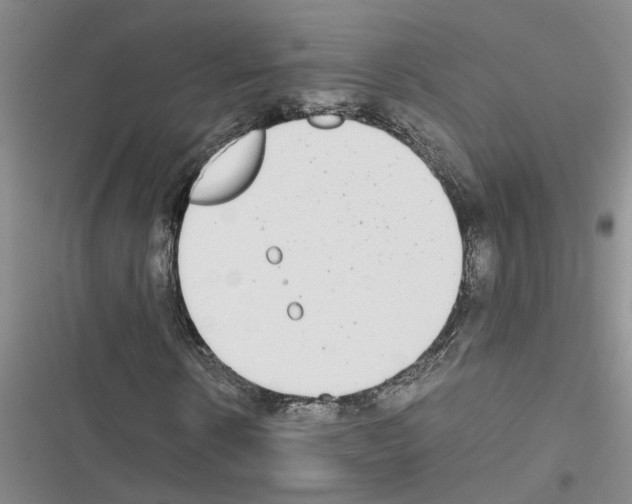 X0000116560914201001211219
