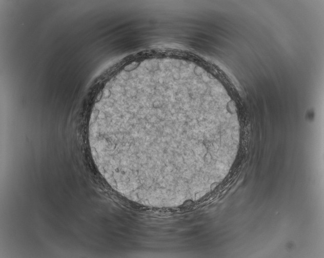 X0000116560919201001211219