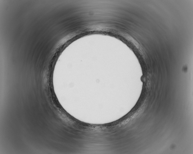 X0000116560922201001211219