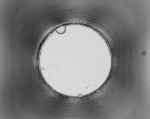 X0000116560927201001211219