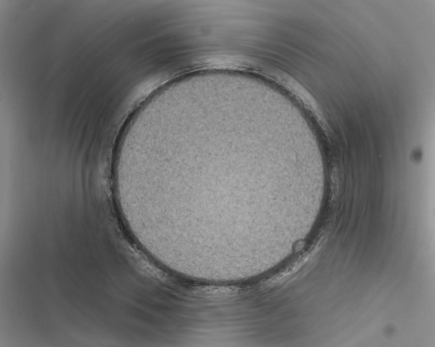 X0000116560930201001211219
