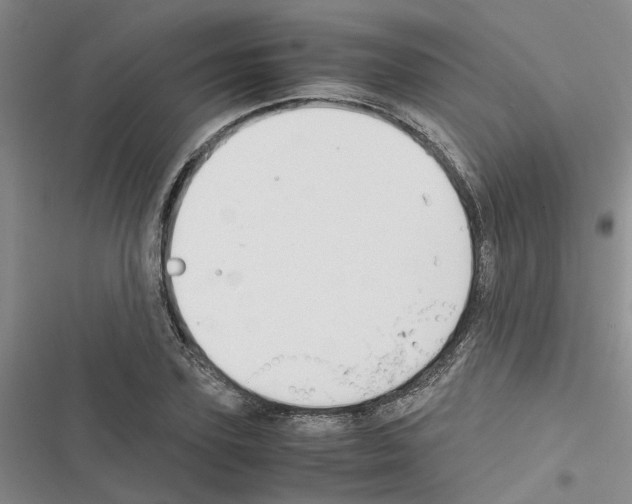 X0000116560931201001211219