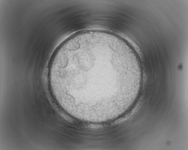 X0000116560933201001211220