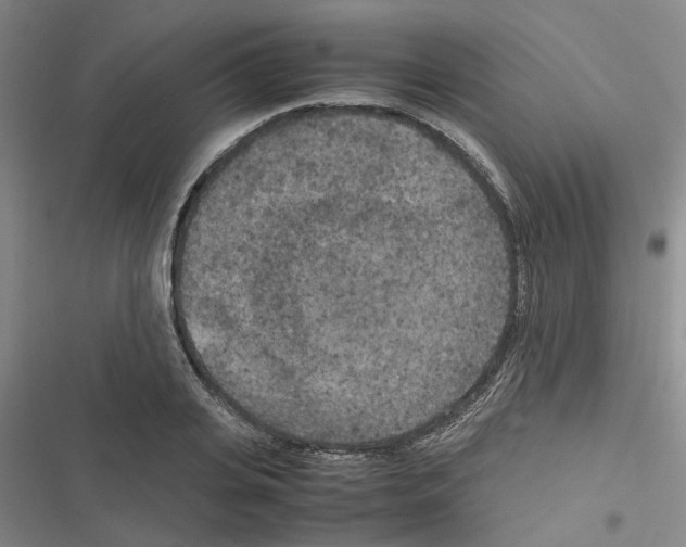 X0000116560935201001211220