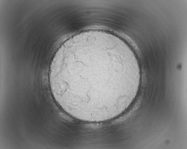 X0000116560937201001211220