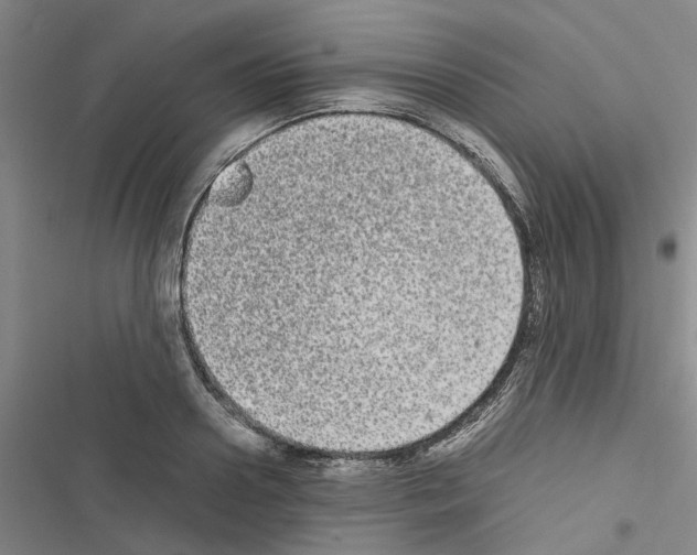 X0000116560938201001211220