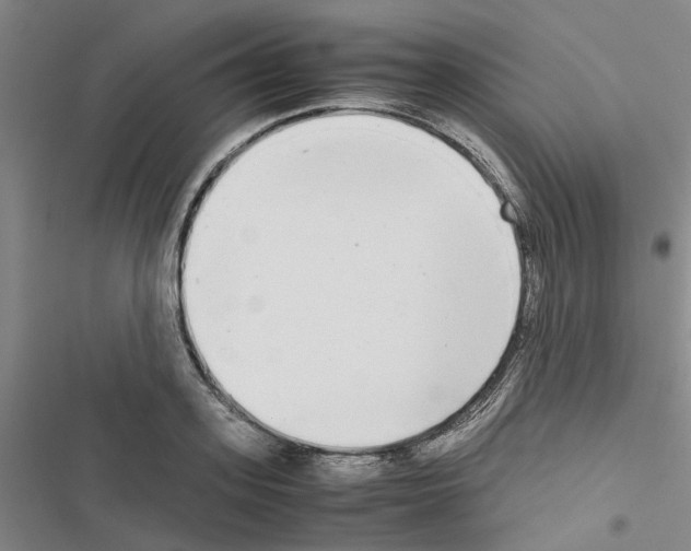 X0000116560939201001211220