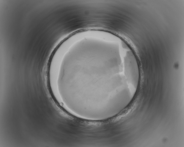 X0000116560941201001211220