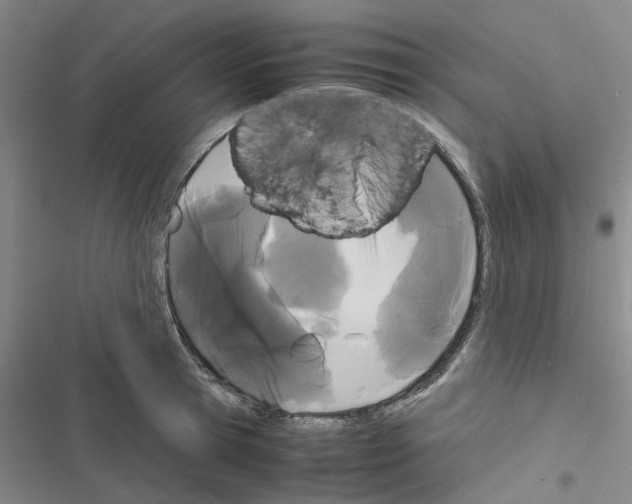 X0000116560945201001211220