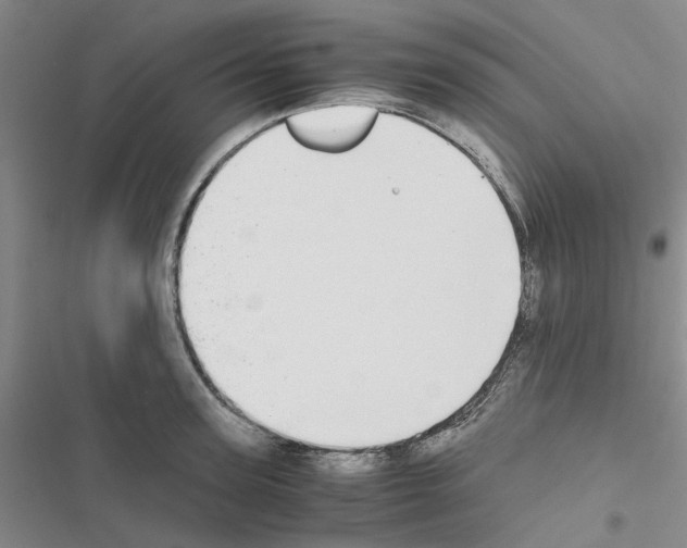 X0000116560947201001211220