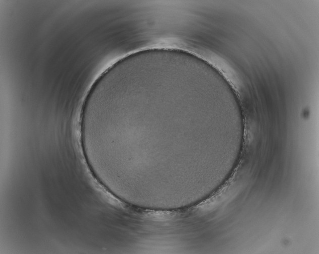 X0000116560950201001211220