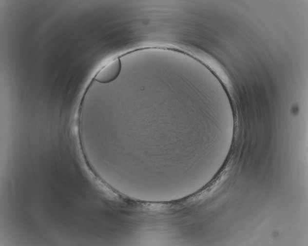 X0000116560958201001211220