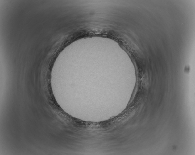 X0000116560961201001211219
