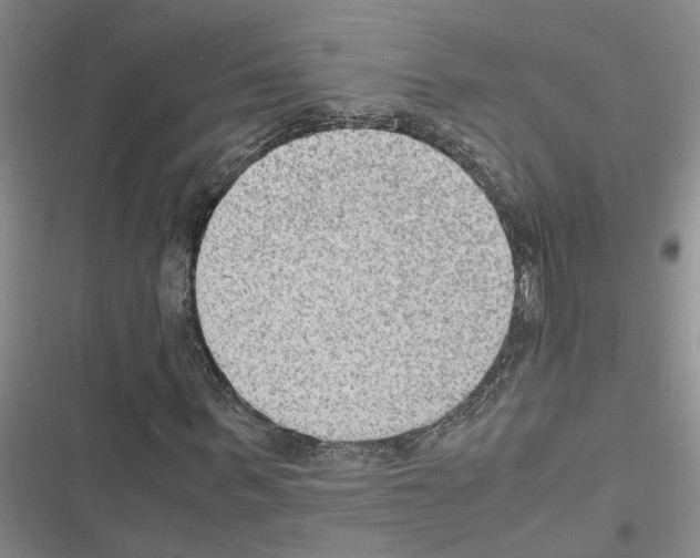 X0000116560963201001211219