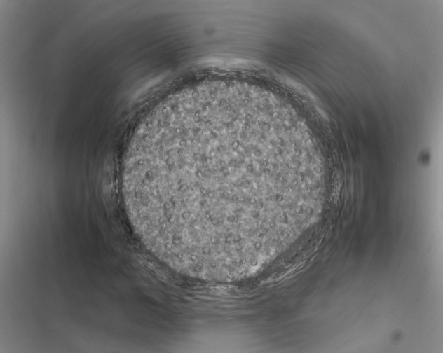 X0000116560966201001211219
